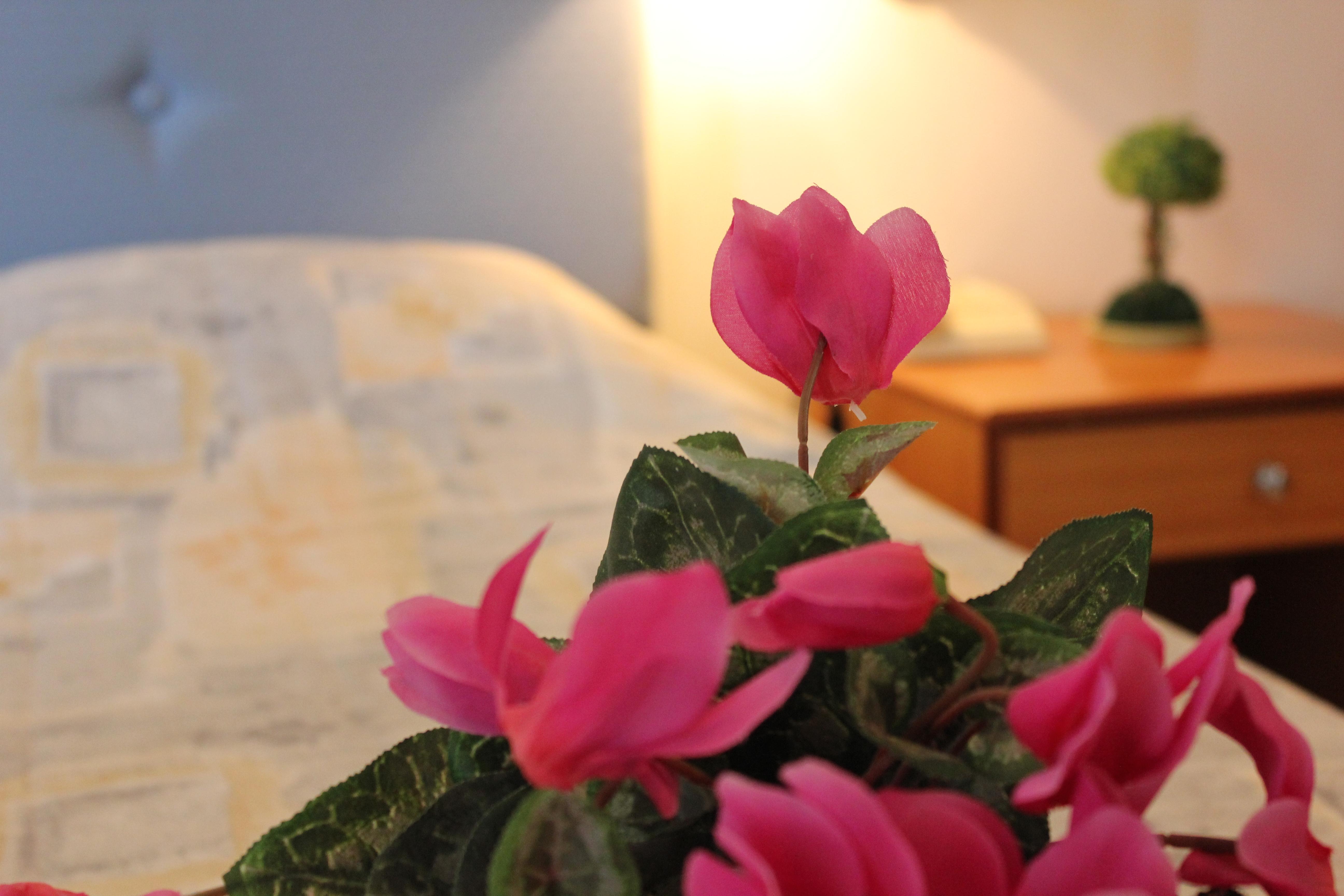Filmar Hotel, Ixia, Rhodes Εξωτερικό φωτογραφία